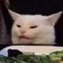 confusedCatNoises