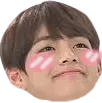 btsv_soft