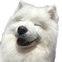 :Wholesome: Discord Emote