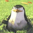 TZG_YouDidntSeeAnything