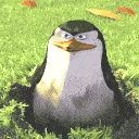 TZG_YouDidntSeeAnything