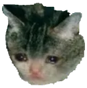 sad
