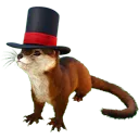 otter otter