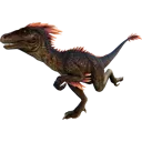 raptor