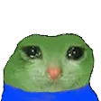 sadcato