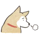 shibasigh shibasigh
