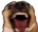 ScreamingDog