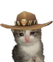 McCryCat Discord Emoji