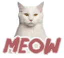 meow Discord Emoji