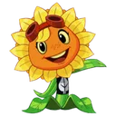 Solarflare