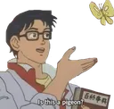 isitapigeon isitapigeon