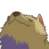HypeDogNod