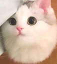 :please: Discord Emote