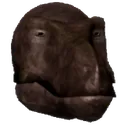 rexBruh rexBruh