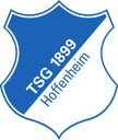 Hoffenheim Discord emoji