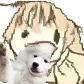 mibanoeat