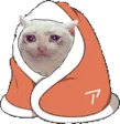 SadCatBlanket