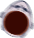maggotOMEGALUL