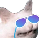 cattosunglasscri Discord Emoji
