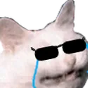 Cattosunglassmatrixcri Discord Emoji