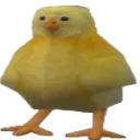 chicky chicky