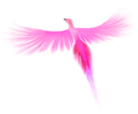 borb