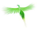 burb