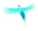 birb