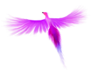 berb berb