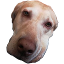 :barrettoverit: Discord Emote