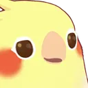 birbe
