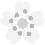 kpFlowerWhite