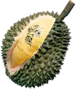 ac_durian