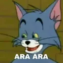 AraAra AraAra