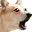 DOGGERS