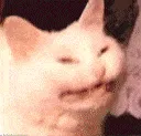 HR_DemonCat HR_DemonCat