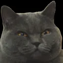 hulaglare