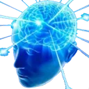 brain
