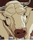 cow Discord emoji