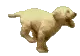 wowee_run