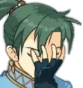 lynfacepalm