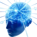 bigbrain