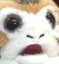 ShockedPorg