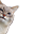 CatLurk Discord emoji