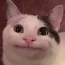 Hmph Hmph