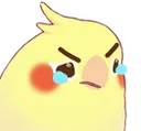 crangerybirb crangerybirb