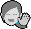 WiiWave