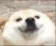 aa