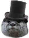 SirOtter