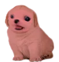 ehmole_tobias